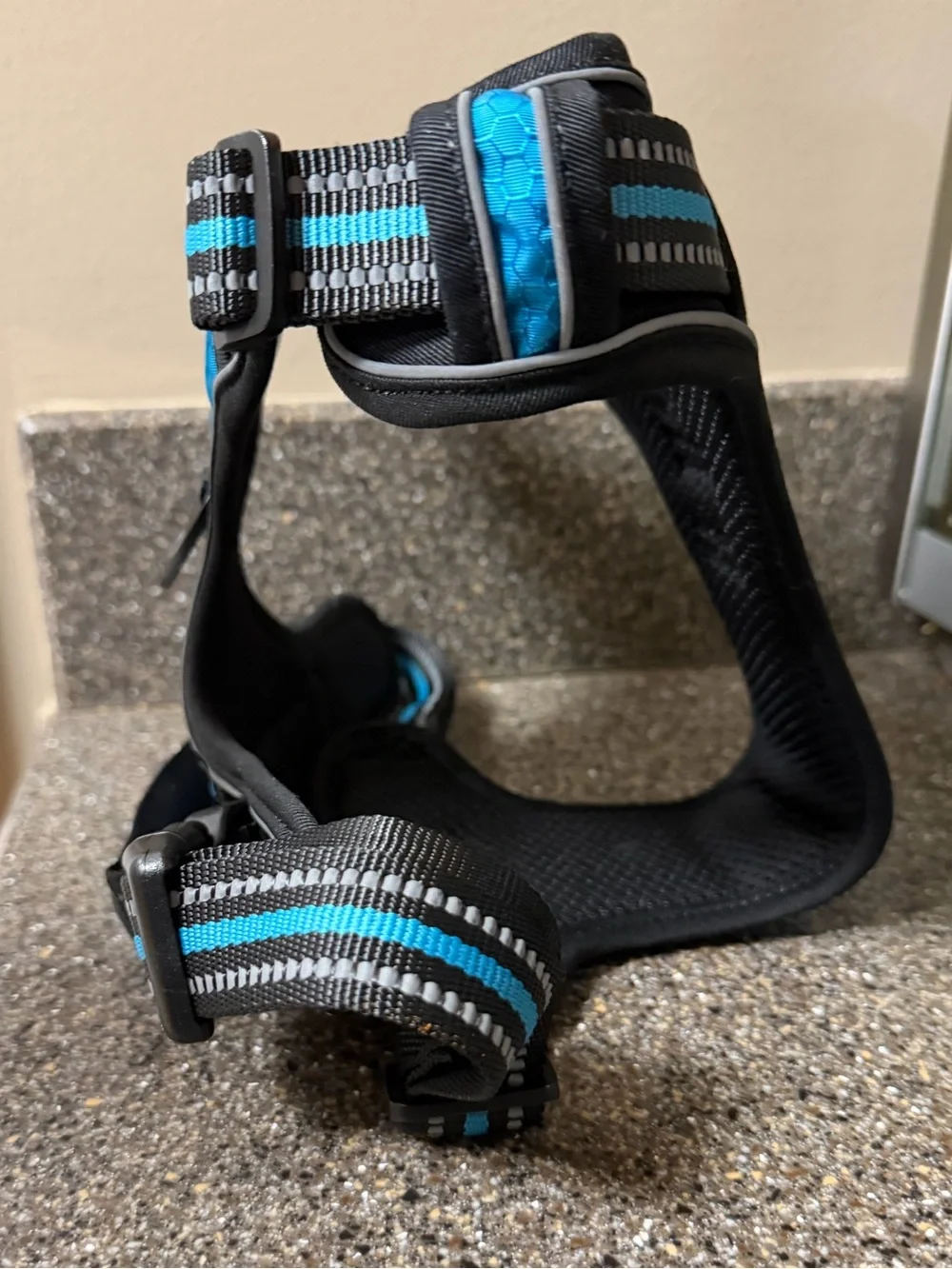 NWT no- pull Dog harness and leash (Large) in blue. Never used. 5 ft. Leash